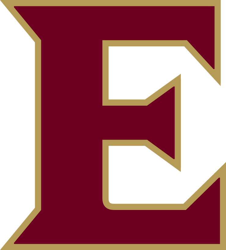 Elon Phoenix 2016-Pres Alternate Logo diy iron on heat transfer